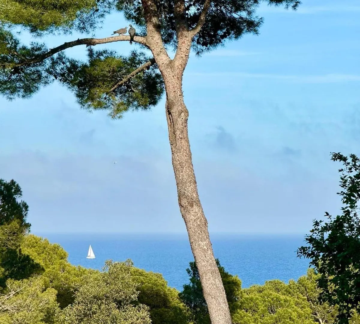 Apartment, Short Walk To The Beach Calella De Palafrugell